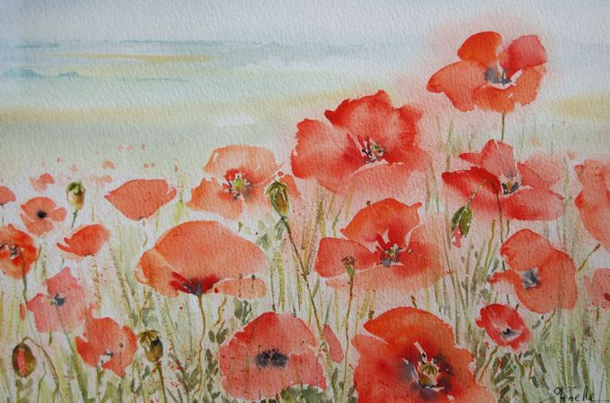 Odile Penelle Aquarelle Coquelicot